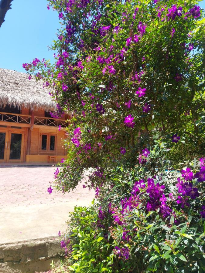 Flower Hmong Homestay Бак-Ха Екстер'єр фото