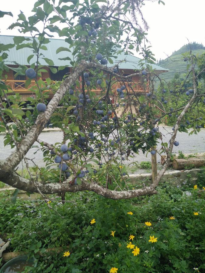 Flower Hmong Homestay Бак-Ха Екстер'єр фото