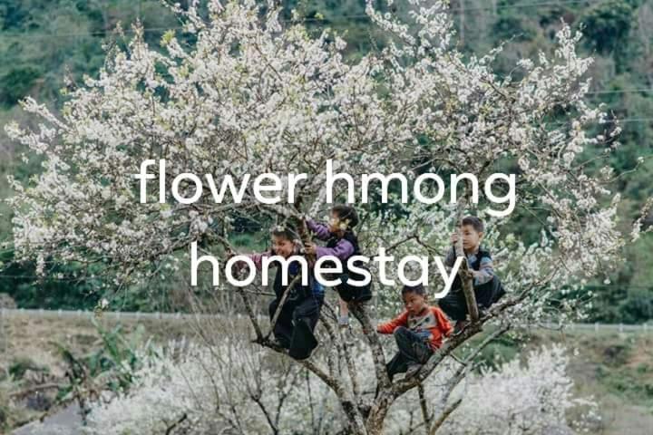 Flower Hmong Homestay Бак-Ха Екстер'єр фото